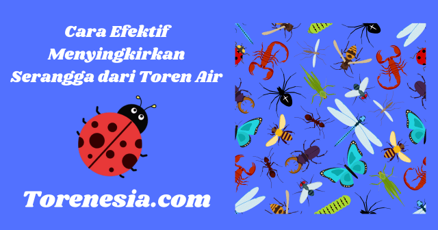 Cara Efektif Menyingkirkan Serangga dari Toren Air